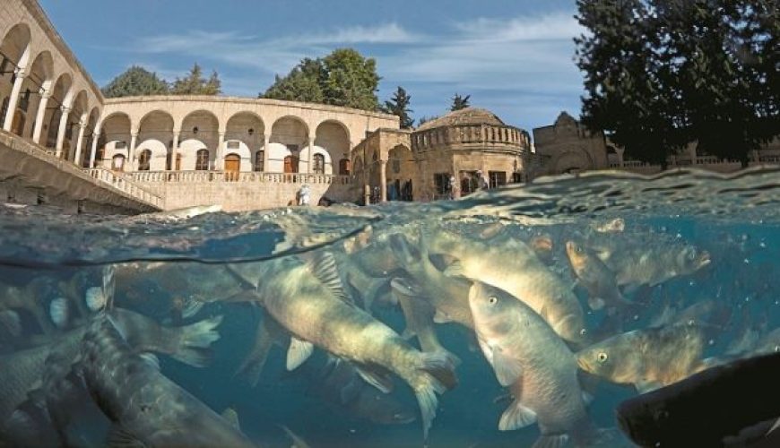 Balikligol Sanliurfa The Oldest Statue of Asia TURKEY