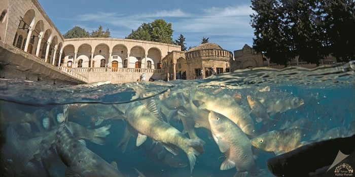 Balikligol Sanliurfa The Oldest Statue of Asia TURKEY