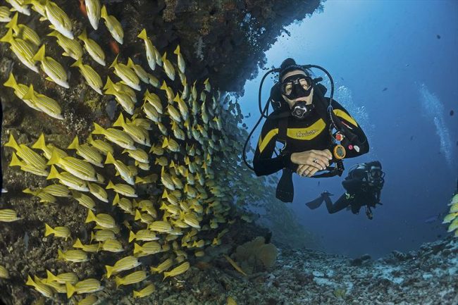 Scuba Diving During a Yacht Holiday