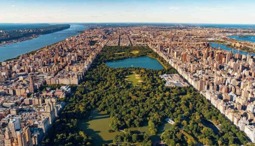 Things to Do in New York City