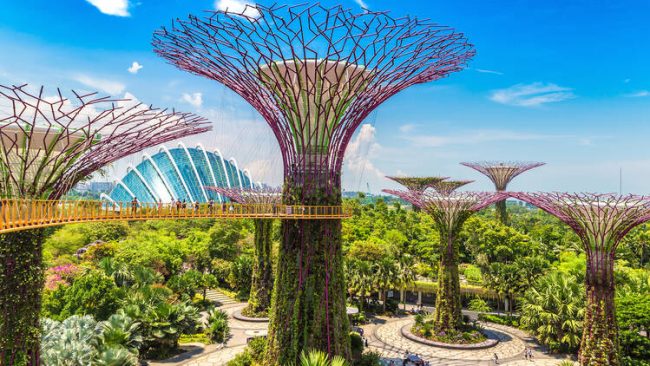 Things to Do In Singapore