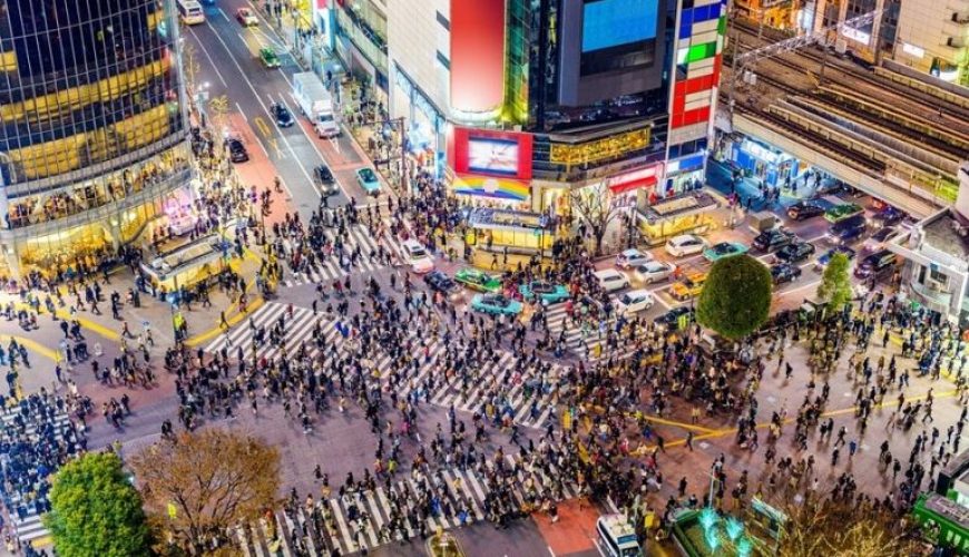 Tokyo's Thrilling Entertainment and Electrifying Nightlife