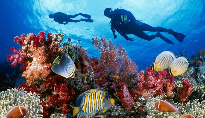 The Great Barrier Reef: A Scuba Diver and Snorkeler's Paradise